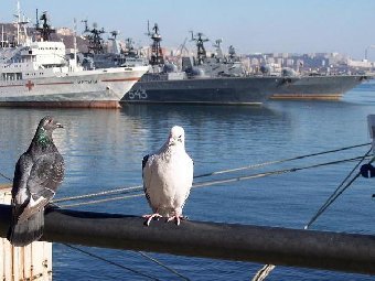 Число объектов к саммиту АТЭС во Владивостоке не изменится