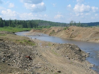 "Полиметалл" меняет бумаги на серебро