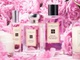 Компания Jo Malone London – лидер среди поставщиков европейской парфюмерии