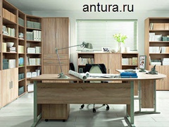 В специализированном магазине в Москве