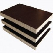 Каталог фанеры: основные моменты