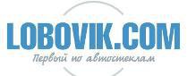 Как правильно выбирать лобовые стекла?